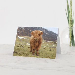 Trots om Schots te zijn! Kaart