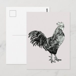 Trotse kleine haan! briefkaart