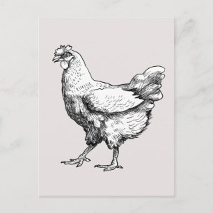 Trotse kleine kip! briefkaart