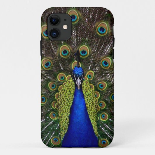 Trotse Peacock iPhone hoesje (Achterkant)