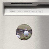 Trotse Puffin Magneet (Insitu (Vaatwasser))