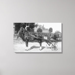 trotter en sulky canvas afdruk