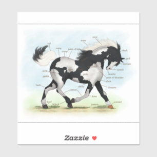 Trotting Piebald Overo verf Paard Anatomie Grafiek Sticker