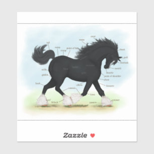 Trotting Shire Draft Paard Paardenanatomie Grafiek Sticker