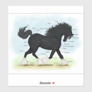 Trotting Shire Paard Ruitersport Anatomie Grafiek Sticker