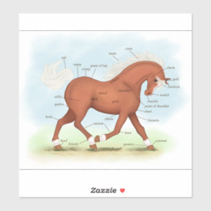 Trotting Sorrel Paard Ruitersport Anatomie Grafiek Sticker