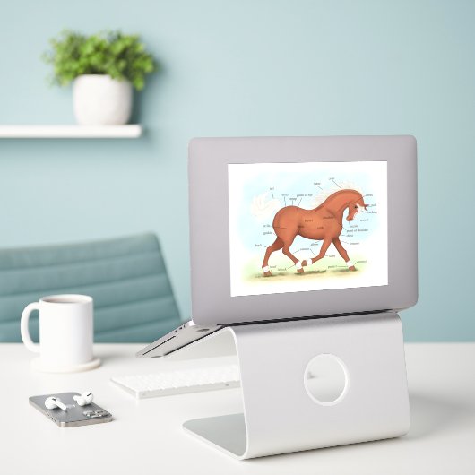 Trotting Sorrel Paard Ruitersport Anatomie Grafiek Sticker (Laptop op bureau)