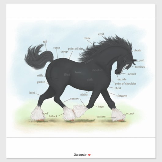 Trotting Zwart Shire Paard Paardenanatomie Grafiek Sticker (Vel)