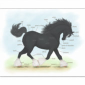 Trotting Zwart Shire Paard Paardenanatomie Grafiek Sticker (Voorkant)