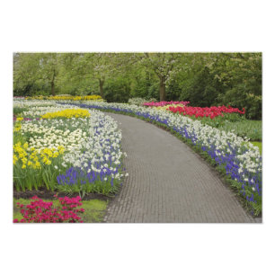 Trottoir door tulpen en narcissen, 2 foto afdruk