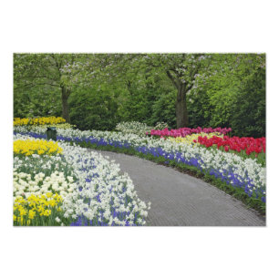 Trottoir door tulpen en narcissen, foto afdruk