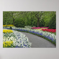Trottoir door tulpen en narcissen,