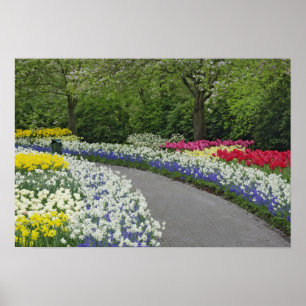 Trottoir door tulpen en narcissen, poster
