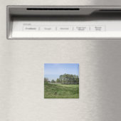 Trou 3 aimant (In Situ (Lave-vaisselle))