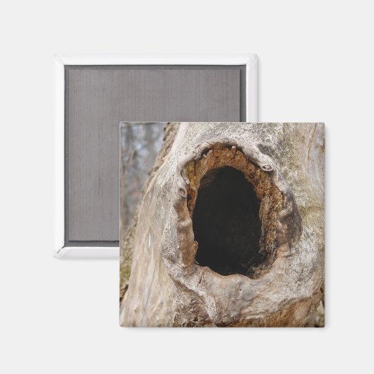 Trou dans un aimant de tronc d'arbre (Recto/Verso)