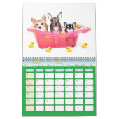 Trouble du Chihuahua Obsessif Calendrier 2011 (Mar 2026)