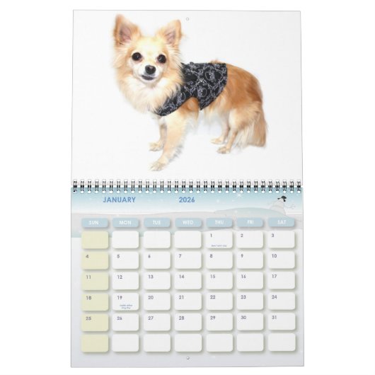 Trouble du Chihuahua Obsessif Calendrier 2011 (Jan 2026)