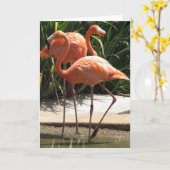 Troupeau de carte de voeux de Flamants roses (Fleur jaune)