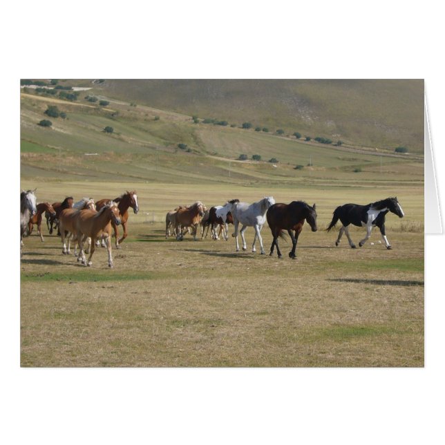 Troupeau de chevaux (Devant horizontal)