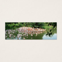 Troupeau de flamants dans l'eau, mini marque-page
