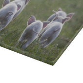 Troupeau de planche à découper de porcelets (Coin)