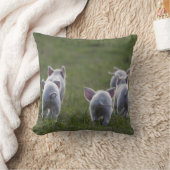 Troupeau de porcelets mignons sur le coussin (Couverture)