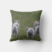 Troupeau de porcelets mignons sur le coussin (Verso)