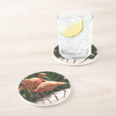 Troupeau des dessous de verre de Flamants roses (Côté)