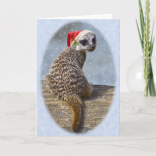 Trousse de Noël Carte de Noël (message vide)