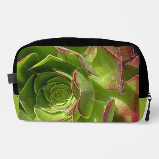 Trousse De Toilette Vert (Recto)