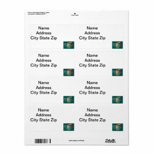 "Trout Fin"-forel met gevilde natte vlieg op groen Etiket