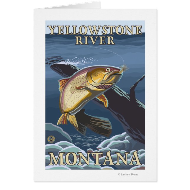 Trout Fishing Cross-Section 5 (Devant)