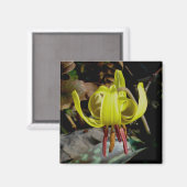 Trout Lily #1 Magnet Magneet (Voorkant / Achterkant)