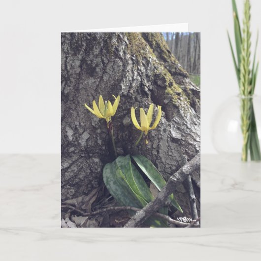 Trout Lily - Blank Card Kaart (Voorkant)