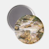 Trout Stream in the Tirol by John Singer Sargent Magneet (Voorkant / Achterkant)