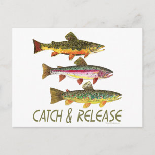 Trout vangen en vrijgeven briefkaart