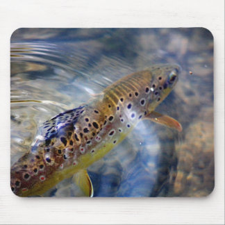 Trout - Vissen Mousemat Muismat