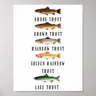 Trout Vissensoorten Shirt Funny Trout Vis Poster