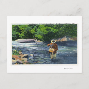 Trout Vist op Catherine's Creek Briefkaart