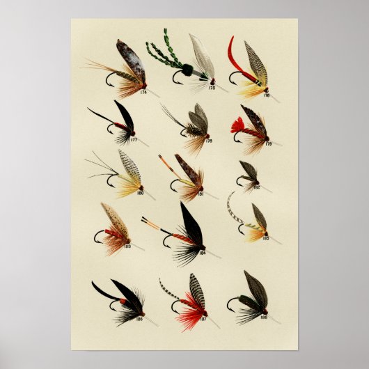 Troutvliegen 174 tot 188 Vintage Poster (Voorkant)