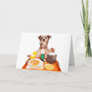 Trouver un chien carte de voeux