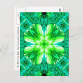 Trouver une carte postale Shamrock fragile (Devant / Derrière)