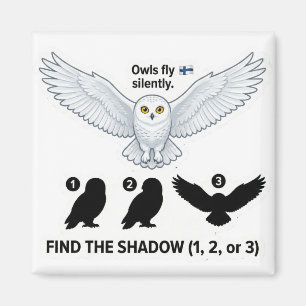 Trouvez l'ombre – Aimant d'apprentissage Hibou Bla