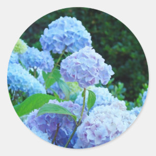 Trouw enveloppe Zegels Blauwe Hortensia Bloemen