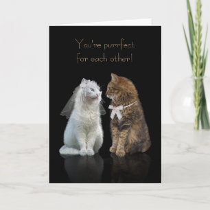 Trouw / Verlovingsgelukwens voor kattenliefhebbers Kaart