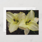 Trouwband - Daylily Briefkaart (Voorkant / Achterkant)