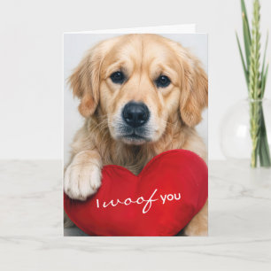 Trouwdag Goud Retriever Met Rode Hartkussen Kaart