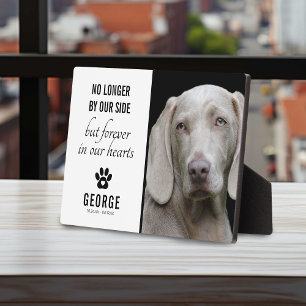 Trouwe Hond Niet Meer Aan Onze Zijde Foto Aanden Fotoplaat