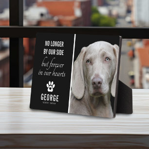 Trouwe Hond Niet Meer Aan Onze Zijde   Foto Aanden Fotoplaat