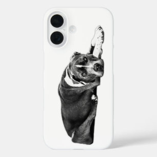 Trouwe Ogen Pitbull Mix Portret Telefoonhoes iPhone 16 Hoesje
